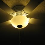 User submitted media 1 of 2