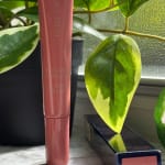 User submitted media 1 of 2