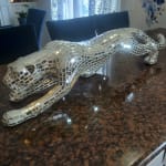 User submitted media