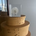 Square Resin Dandelion Paperweight