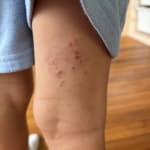 User submitted media 1 of 2