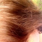 User submitted media 3 of 4