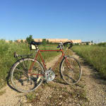 Bontrager H5 Hard Case Ultimate Hybrid Tire Trek Bikes CA