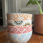Pad Print Noodle Bowl Set Of 4 - World Market