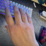 User submitted media 1 of 2