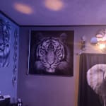 User submitted media