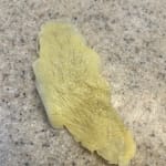 User submitted media 1 of 2