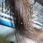 User submitted media 3 of 3