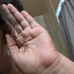 User submitted media 4 of 4