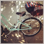 Trek pure lowstep for sale online