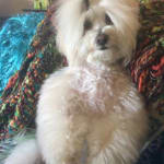 User submitted media 4 of 6