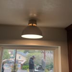 User submitted media