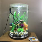 BiOrb TUBE LED Aquarium Black 30 Litre Pets At Home