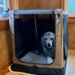 Folding Dog Crate Large - Brown - Duluth Trading Company