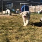 User submitted media