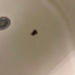 User submitted media 1 of 2