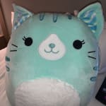 Squishmallow Corinna Teal Cat 16" BAM Books-A-Million Exclusive NWT *SHIPS NOW* 