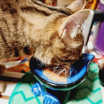 User submitted media 3 of 3