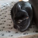 User submitted media 2 of 2