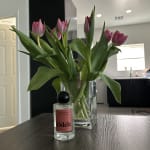 User submitted media 2 of 2