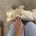 User submitted media 1 of 2