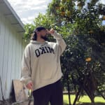 User submitted media