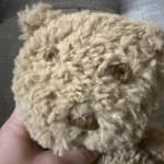 User submitted media