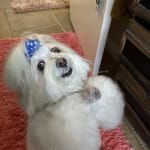 User submitted media 3 of 6