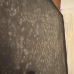 User submitted media