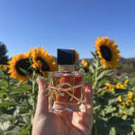 User submitted media 1 of 2