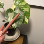 User submitted media 1 of 3