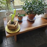 Sansur Rustic Pecan Live Edge Wood Coffee Table