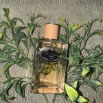 User submitted media 2 of 2