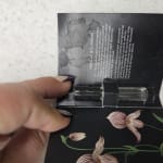 User submitted media 1 of 2