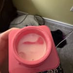 User submitted media