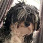 User submitted media 2 of 6