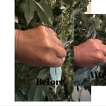 User submitted media