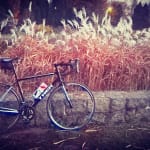 Trek 1.5 review deals