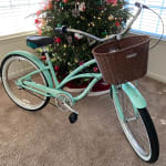 Electra Plastic Woven Basket Ashland Medford Cycle Sport