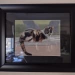 MCS Archival Series Frames with Mat