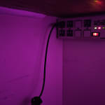 User submitted media 1 of 2