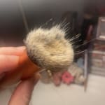 User submitted media 2 of 2