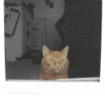 User submitted media 1 of 5