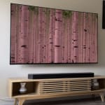 User submitted media