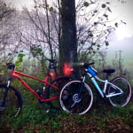 X-Caliber 8 - Trek Bikes X-Caliber 8 - Trek Bikes