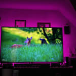 User submitted media