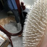 User submitted media