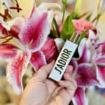 User submitted media 3 of 3