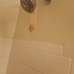 User submitted media