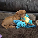 User submitted media